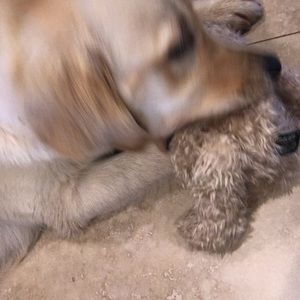 Meet your Posher, Hilary